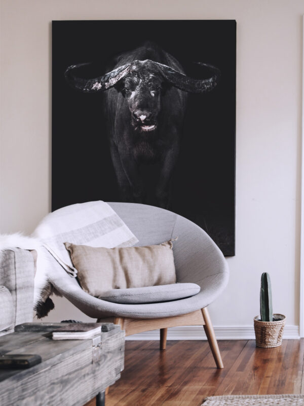 Buffalo Dark Living room display