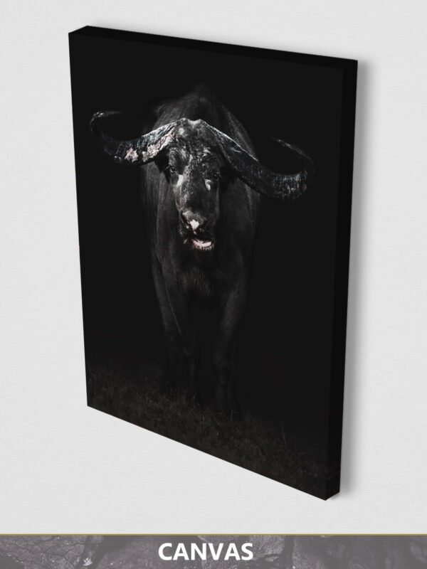 Buffalo Dark canvas display 1