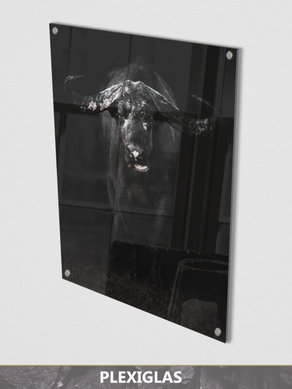 Buffalo Dark plexiglas display 1