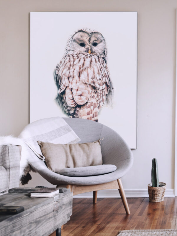 Light Owl Living room display