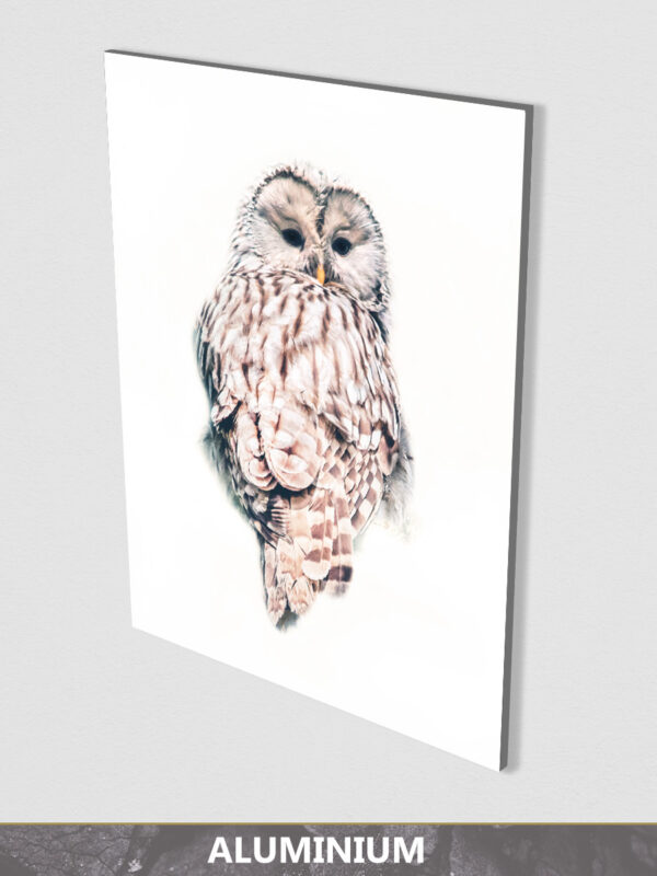 Light Owl aluminium display 1