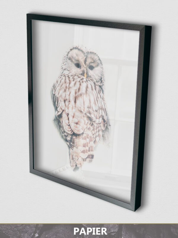 Light Owl papier display 1
