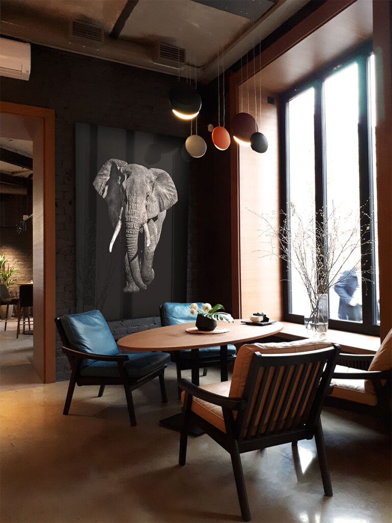 Restaurant display Elephant Dark