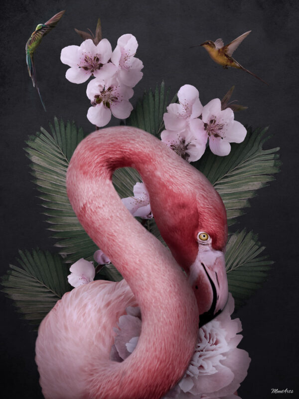 Poster flamingo met bloemen