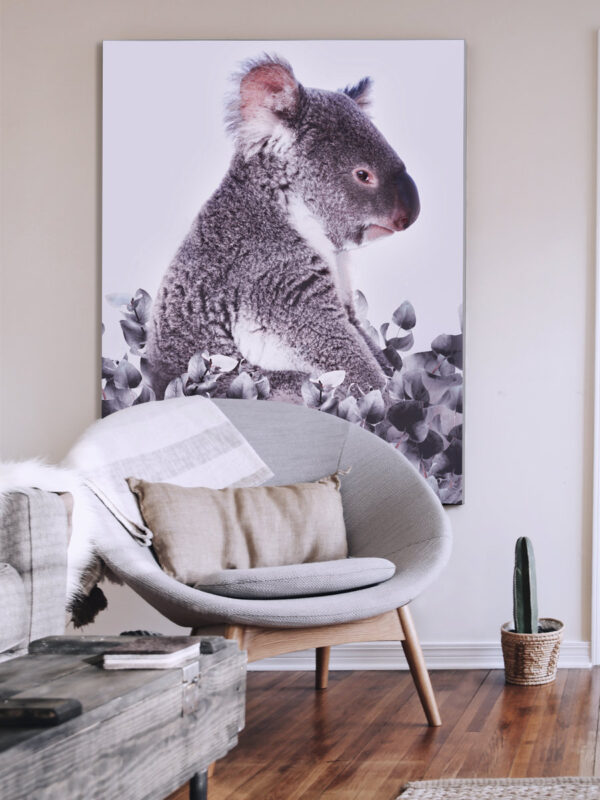 Koala white background living room display