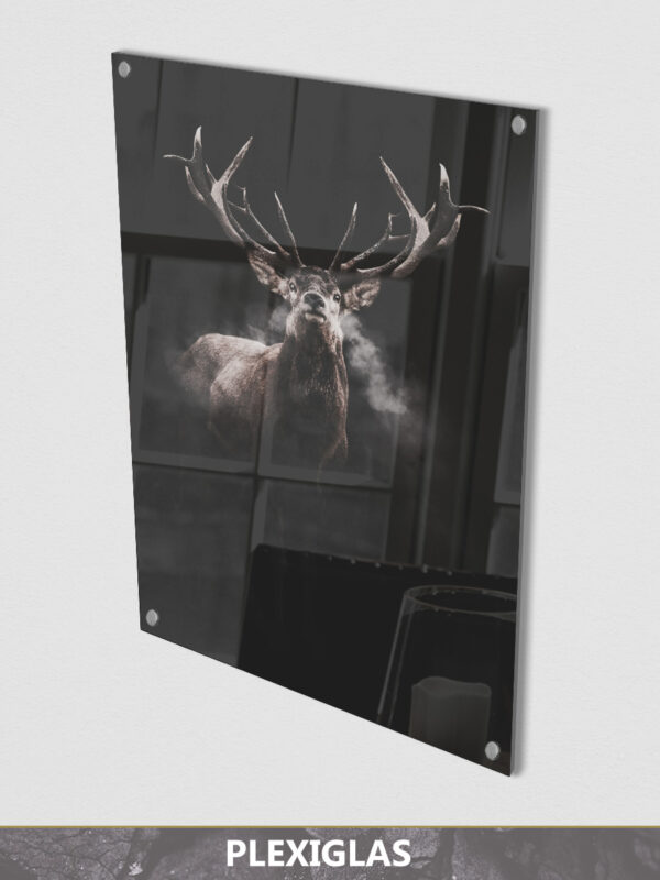 Steaming Deer dark plexiglas display
