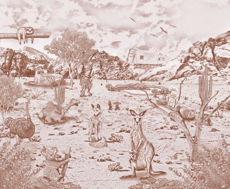 Kinderkamer getekend behang Australische dieren krijt bruin