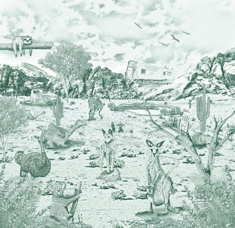 Kinderkamer getekend behang Australische dieren krijt diepgroen