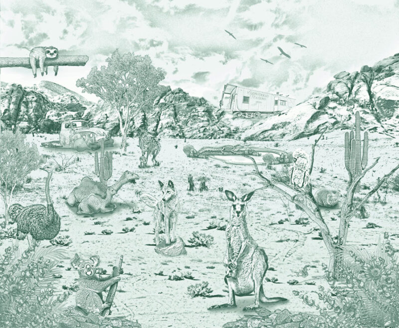 Kinderkamer getekend behang Australische dieren krijt diepgroen
