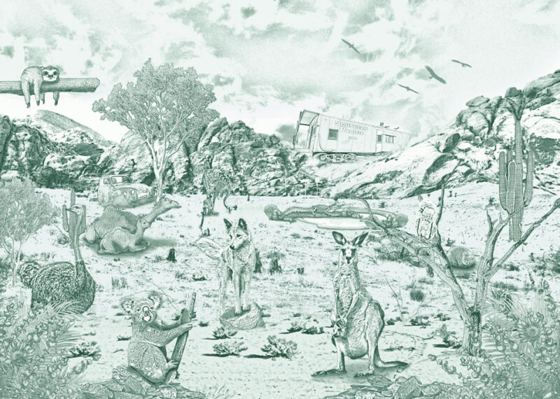 Kinderkamer getekend behang Australische dieren krijt diepgroen