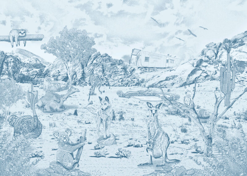 Kinderkamer getekend behang Australische dieren krijt luchtblauw