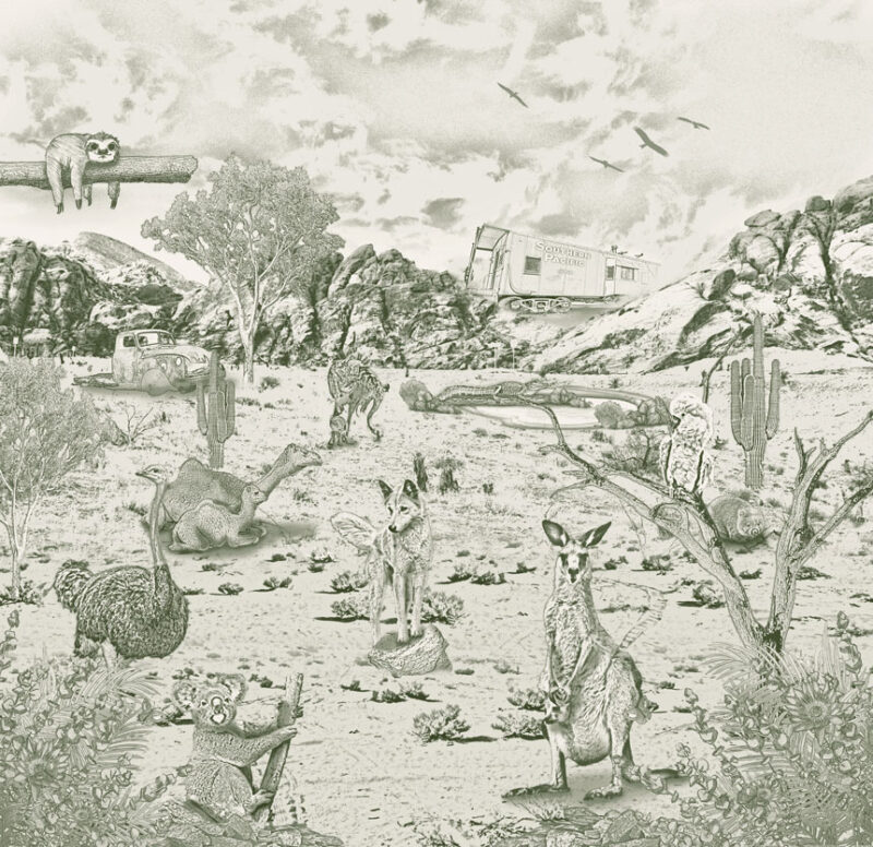 Kinderkamer getekend behang Australische dieren krijt mosgroen