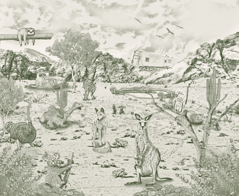 Kinderkamer getekend behang Australische dieren krijt mosgroen
