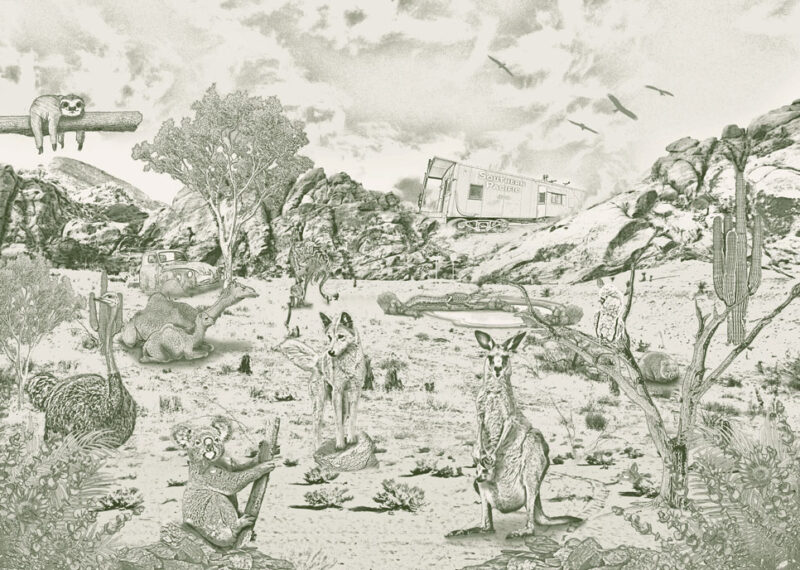 Kinderkamer getekend behang Australische dieren krijt mosgroen