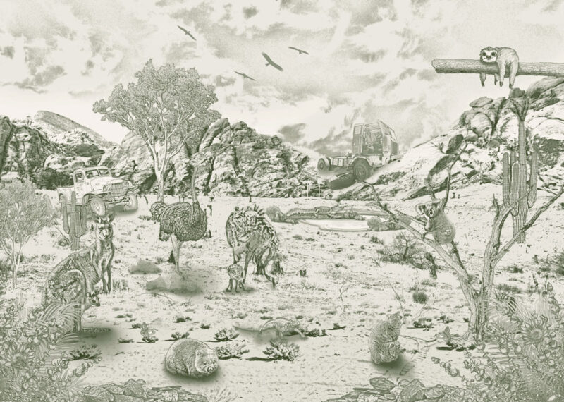 Kinderkamer getekend behang Australische dieren krijt mosgroen