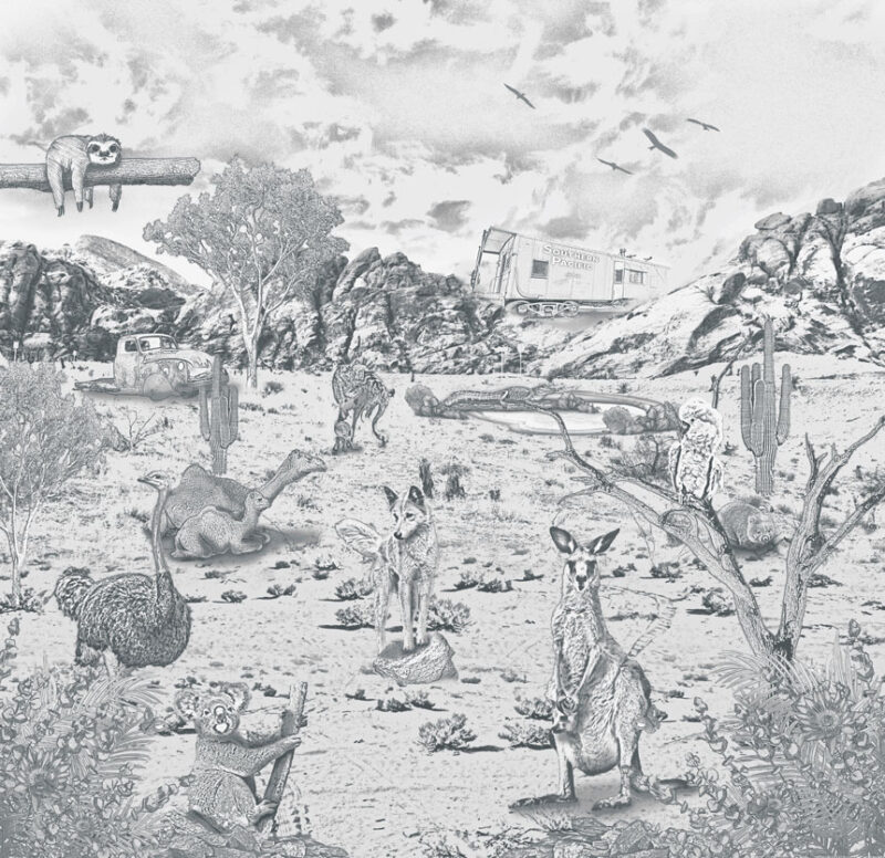 Kinderkamer getekend behang Australische dieren krijt potloodgrijs