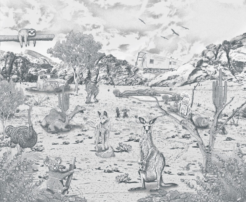 Kinderkamer getekend behang Australische dieren krijt potloodgrijs