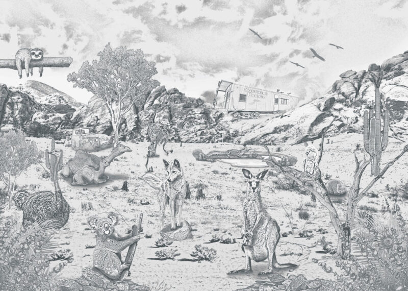 Kinderkamer getekend behang Australische dieren krijt potloodgrijs