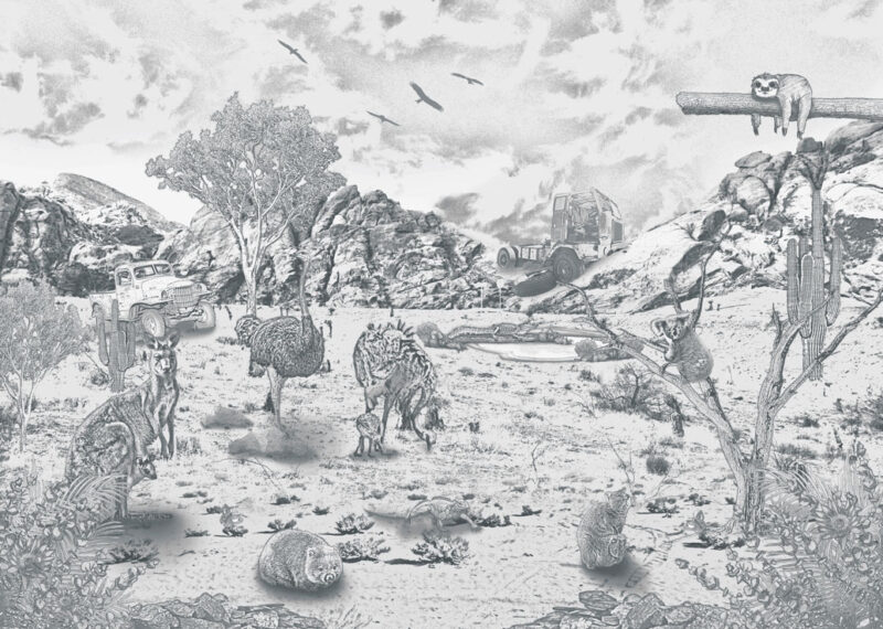 Kinderkamer getekend behang Australische dieren krijt potloodgrijs