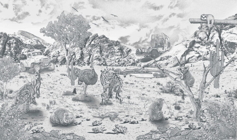 Kinderkamer getekend behang Australische dieren krijt potloodgrijs