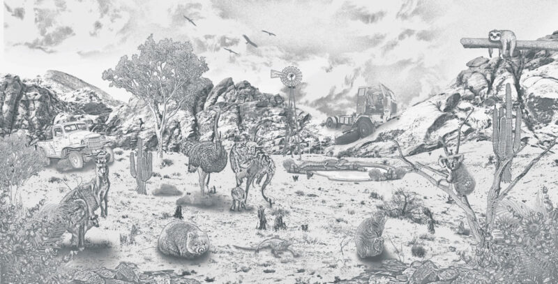 Kinderkamer getekend behang Australische dieren krijt potloodgrijs