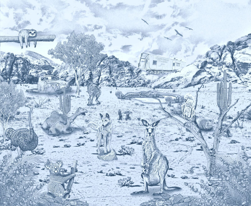 Kinderkamer getekend behang Australische dieren krijt zeeblauw