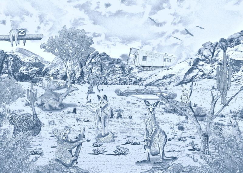 Kinderkamer getekend behang Australische dieren krijt zeeblauw