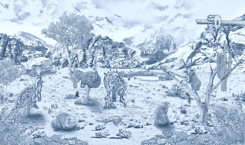 Kinderkamer getekend behang Australische dieren krijt zeeblauw