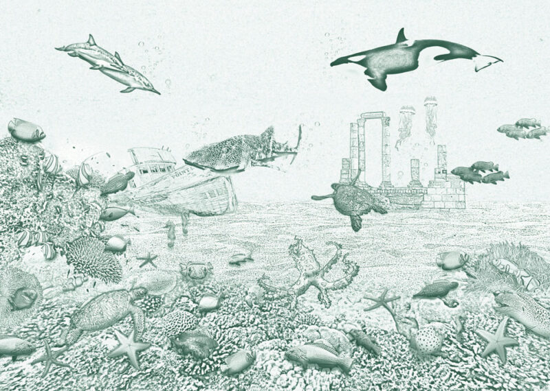Kinderkamer getekend behang zeedieren krijt diepgroen