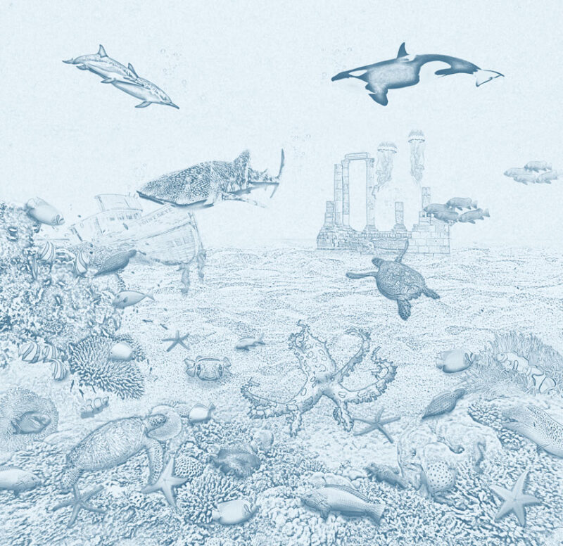 Kinderkamer getekend behang zeedieren krijt luchtblauw