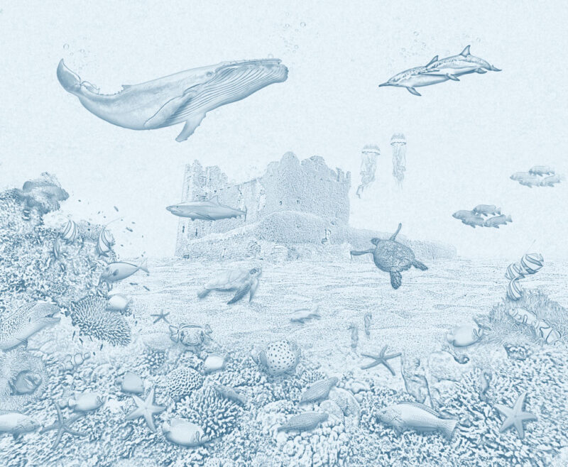 Kinderkamer getekend behang zeedieren krijt luchtblauw