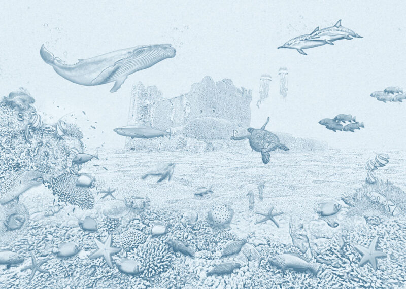 Kinderkamer getekend behang zeedieren krijt luchtblauw