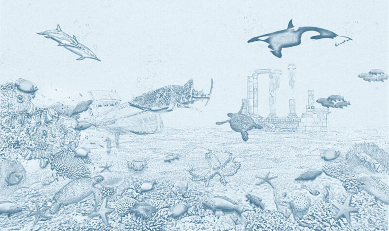 Kinderkamer getekend behang zeedieren krijt luchtblauw