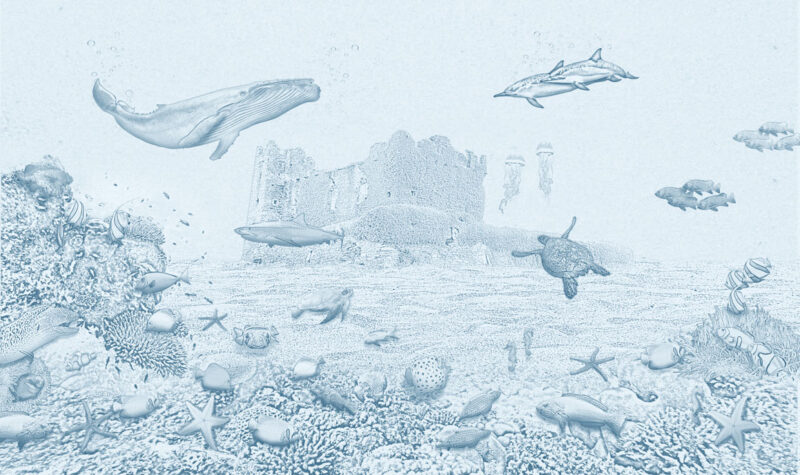 Kinderkamer getekend behang zeedieren krijt luchtblauw