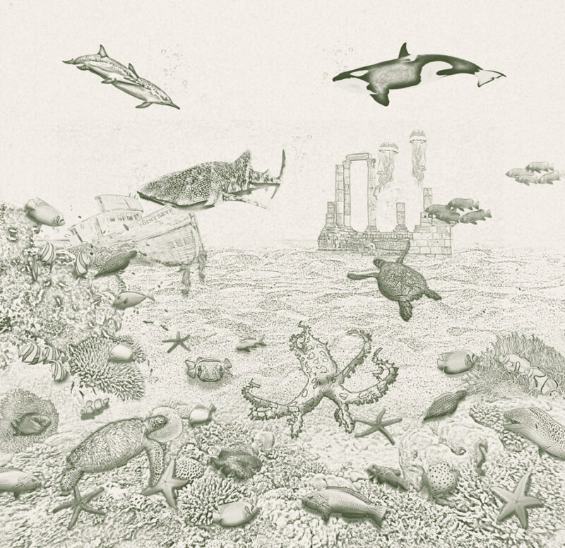 Kinderkamer getekend behang zeedieren krijt mosgroen