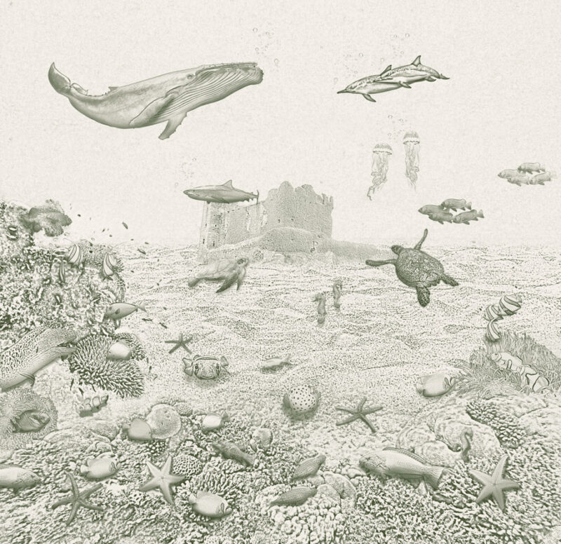 Kinderkamer getekend behang zeedieren krijt mosgroen
