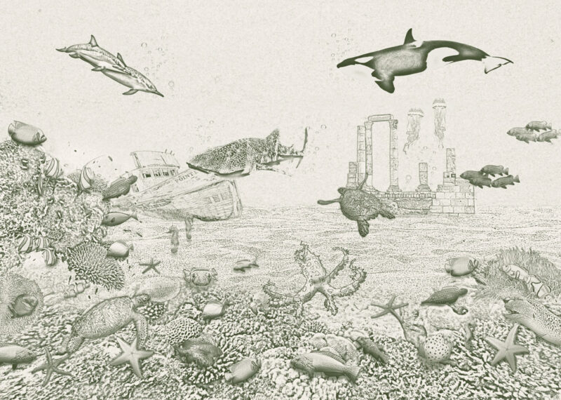 Kinderkamer getekend behang zeedieren krijt mosgroen
