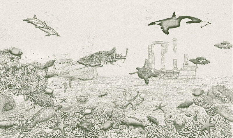 Kinderkamer getekend behang zeedieren krijt mosgroen