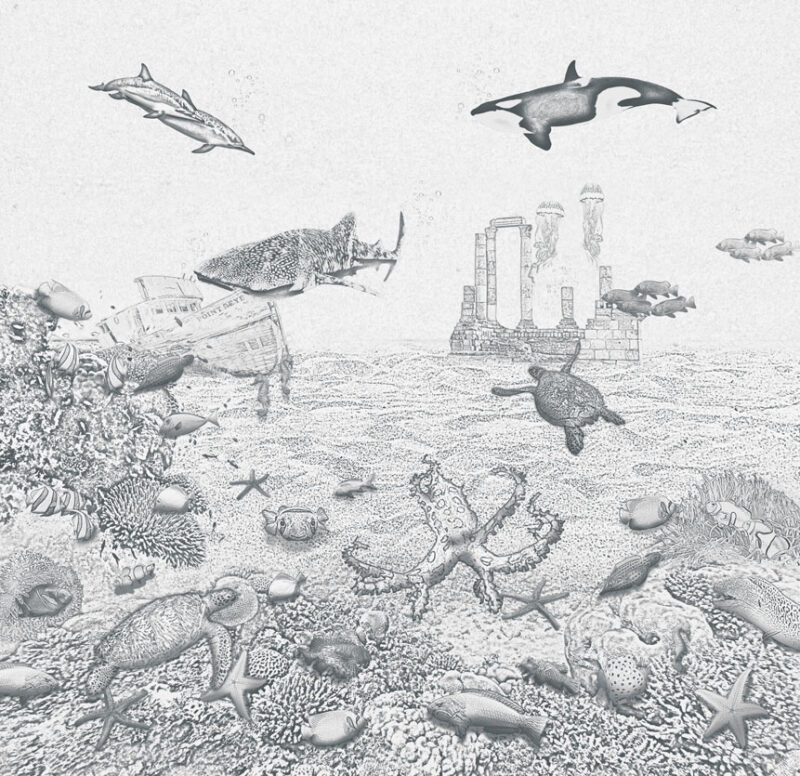 Kinderkamer getekend behang zeedieren krijt potloodgrijs