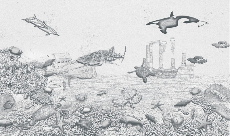 Kinderkamer getekend behang zeedieren krijt potloodgrijs