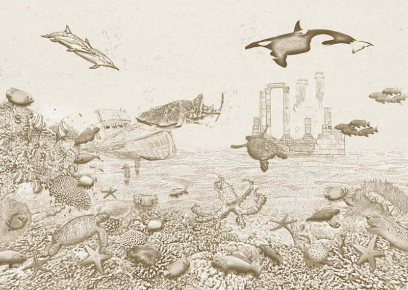 Kinderkamer getekend behang zeedieren krijt zandbruin
