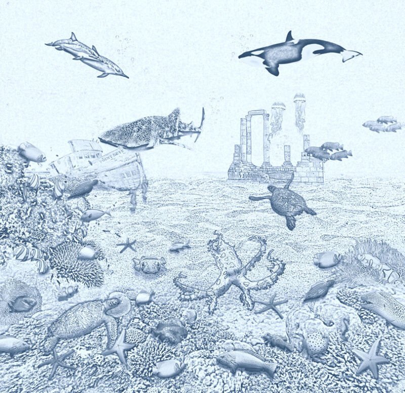 Kinderkamer getekend behang zeedieren krijt zeeblauw