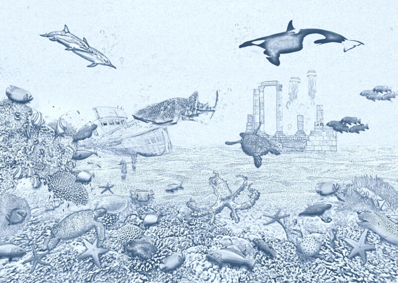 Kinderkamer getekend behang zeedieren krijt zeeblauw